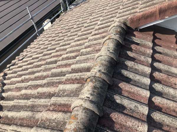 28B49FC8-373F-459B-89F1-E02D31E9AF4C_コピー