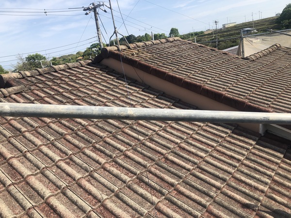 17E831E2-6F2A-4A18-906D-E44B1382E3C9_コピー