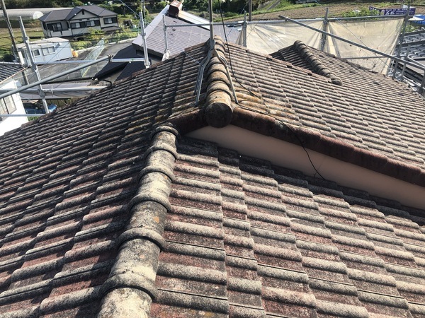 626954EE-01E5-4849-BC93-141ECA98DBC9_コピー