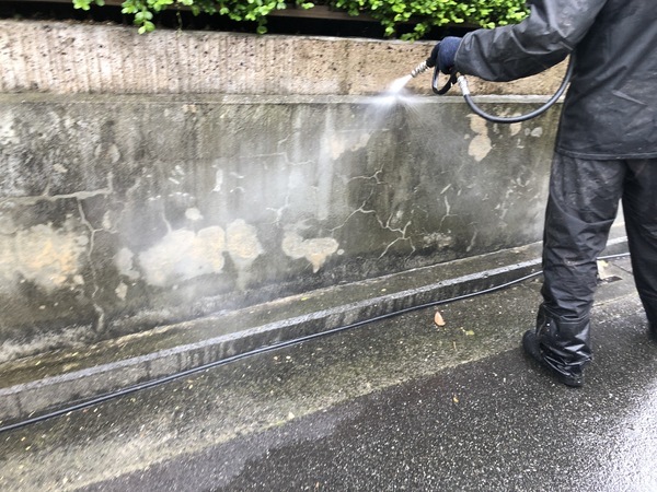 S__97337363_コピー