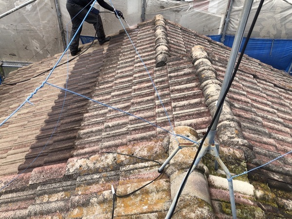 S__97337382_コピー