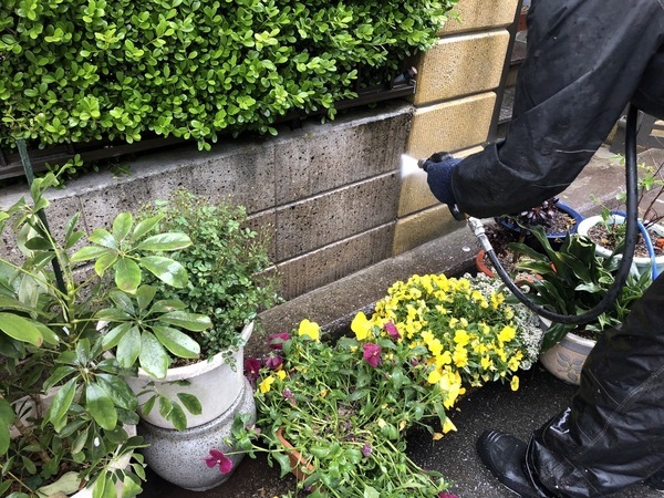 S__97337367_コピー