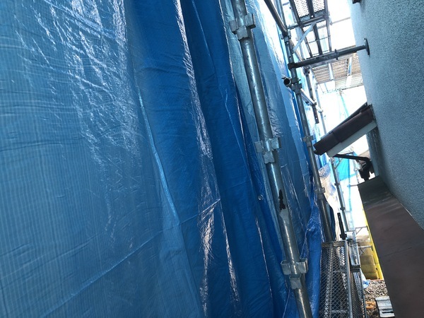 S__97337388_コピー