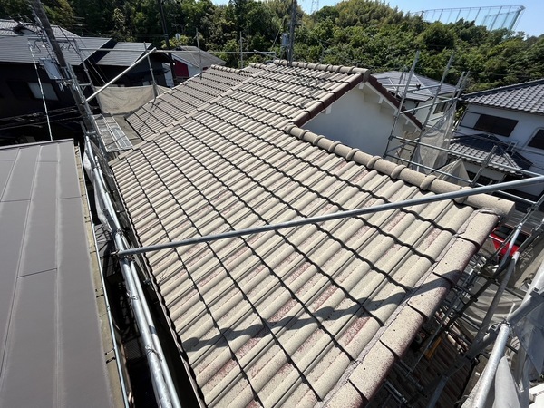 S__37945351_コピー