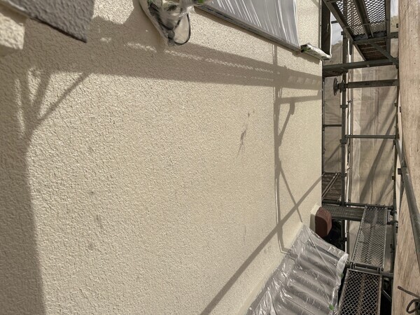 S__99303461_コピー