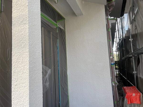 S__99295244_コピー