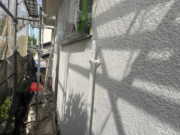 S__99295243_コピー