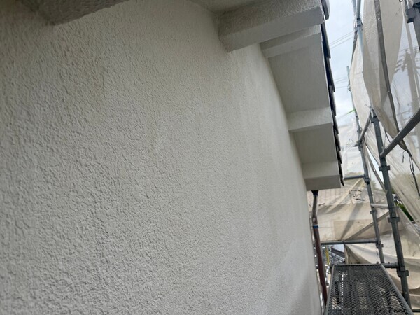 S__99295241_コピー