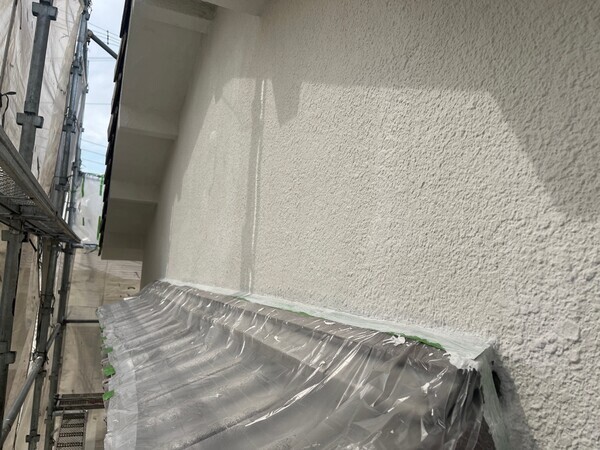 S__99295239_コピー