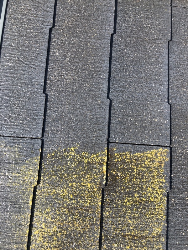 S__97476623_コピー