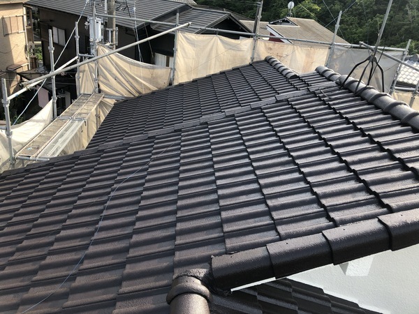 407EA859-EDA6-490C-8B54-DB6400F24BEC_コピー