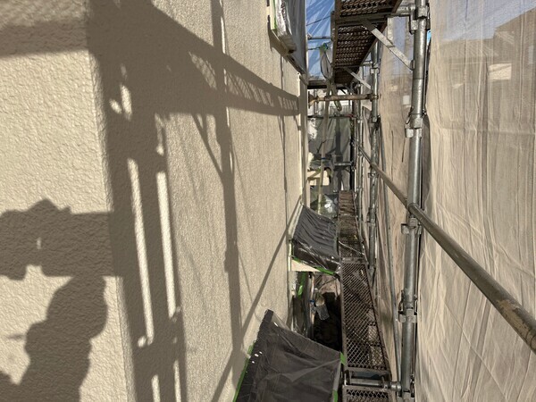 S__99442702_0_コピー