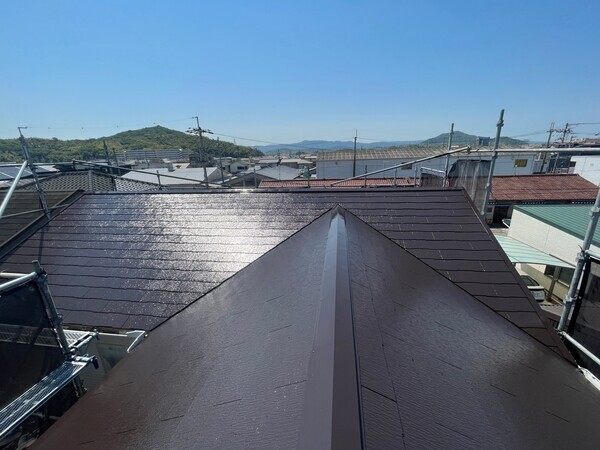 S__99508238_コピー