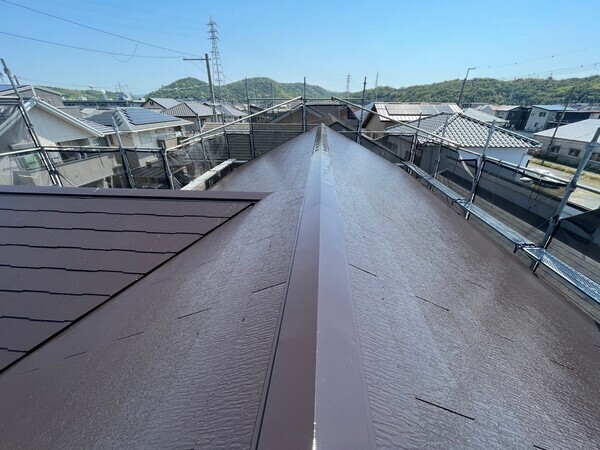 S__99508239_コピー