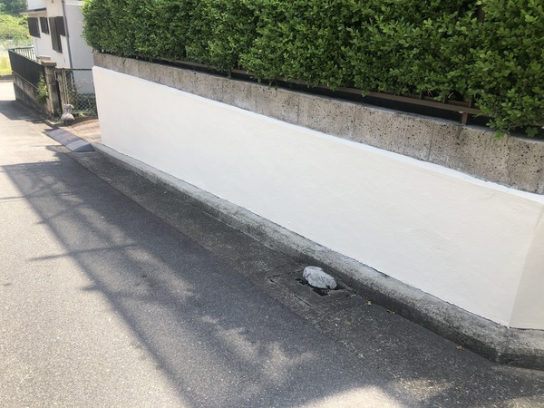 230F155C-F3BA-4A7A-8BC7-156BA37FFEF7_コピー