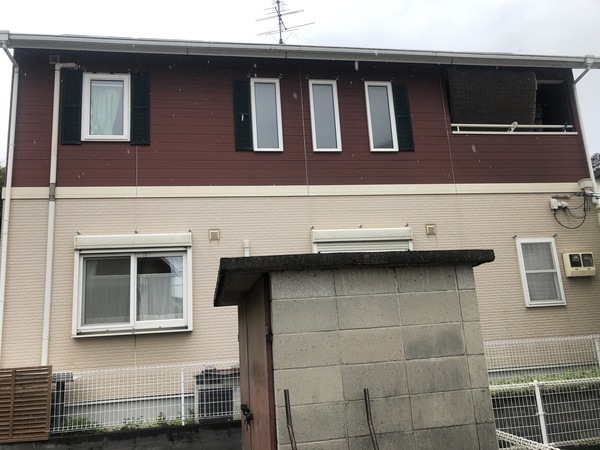 E98CF8BB-A49D-4196-8FF9-188C4A7ADC3D_コピー