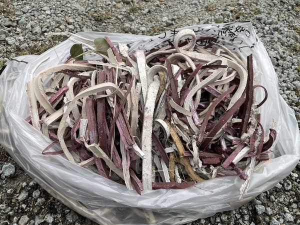 S__6938712_コピー