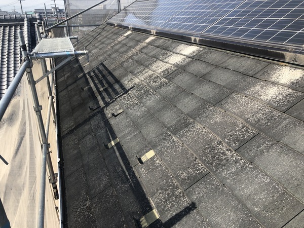 789465F1-91B1-4AE1-8AEE-911DC62D4D28_コピー