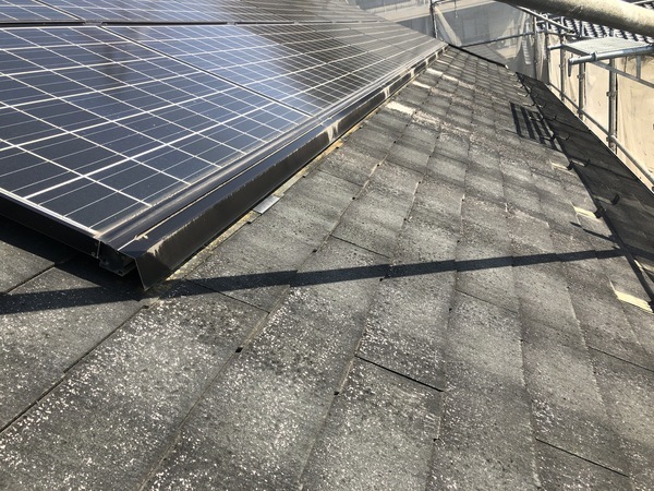 00FF0CCF-308E-4389-8577-6C846894A8E9_コピー