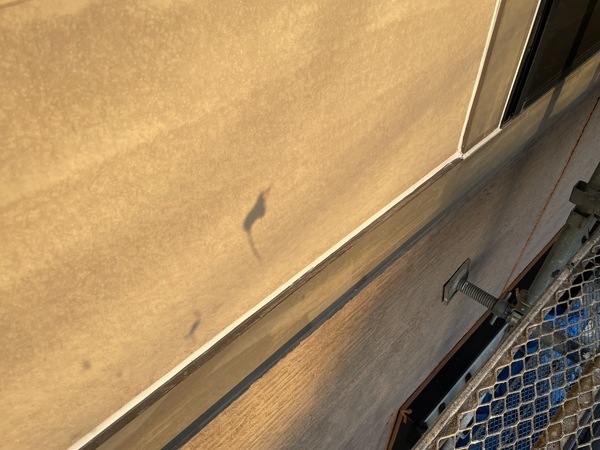 S__7077966_コピー