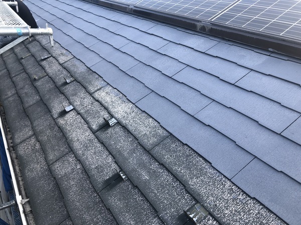 A12F65DA-17D7-48EE-81A9-41A7A1EFB9D8_コピー