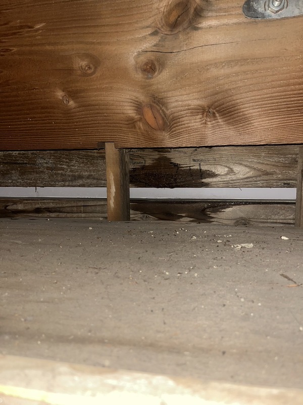 S__61571112_コピー