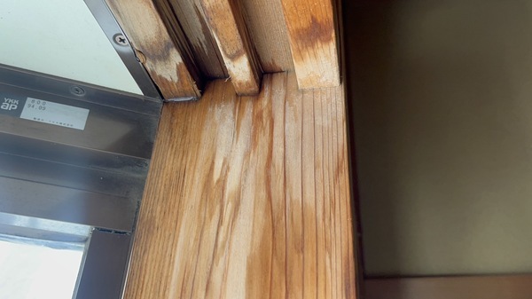 S__61571103_コピー