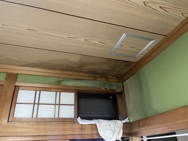 556E6EFF-971C-4B41-908F-EBA231196572_コピー