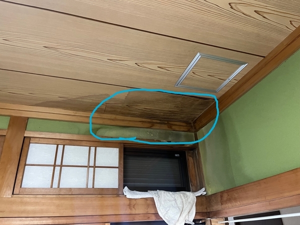 BE9D7EE3-AB30-4011-BB58-291E38047894_new_コピー