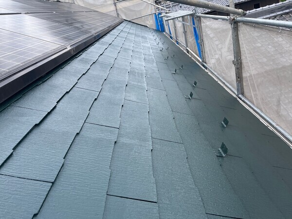 S__99811333_コピー