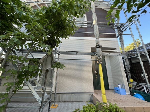 S__45154465_コピー