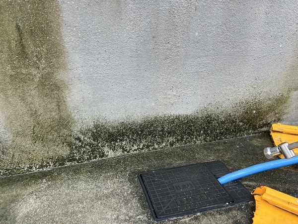 S__45236290_コピー