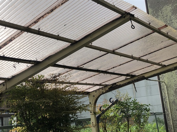 B849EC81-202A-49A6-B4EF-1B4F7C8F5B55_コピー