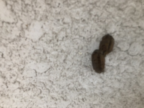 47468CEE-07A2-4CB7-A572-399E40C615EF_コピー