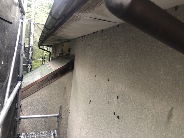 937E78F3-2A36-4D91-A350-0A9DB09D8F87_コピー