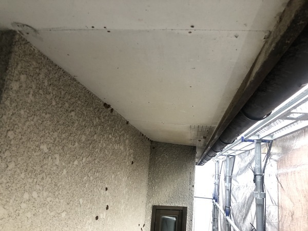 917CCA83-BE9C-4543-8D87-CD4F4F56C002_コピー