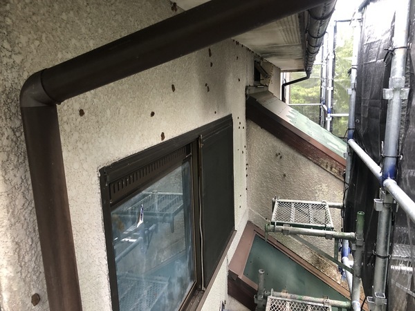 81F2234C-1832-4CEB-80B2-2107DE4E1C0B_コピー