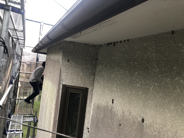 7795CE24-F274-4B54-BA00-4A0DD3B6CBA7_コピー