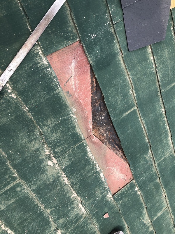 51730231-BE75-4D7C-8594-F550DE883E1A_コピー