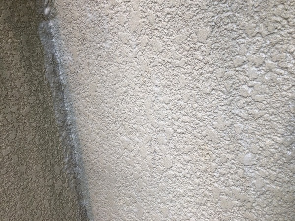 S__99573770_コピー