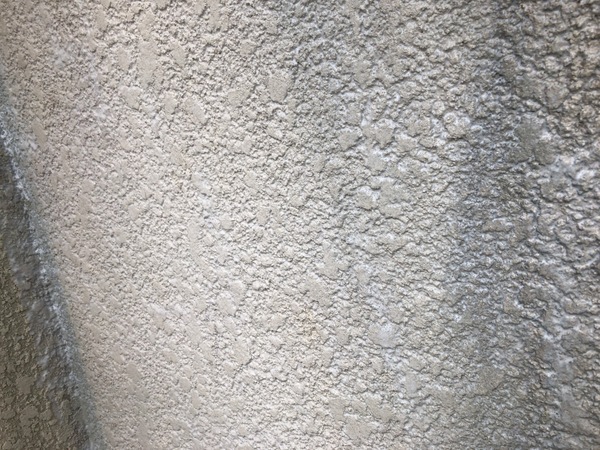 S__99573769_コピー