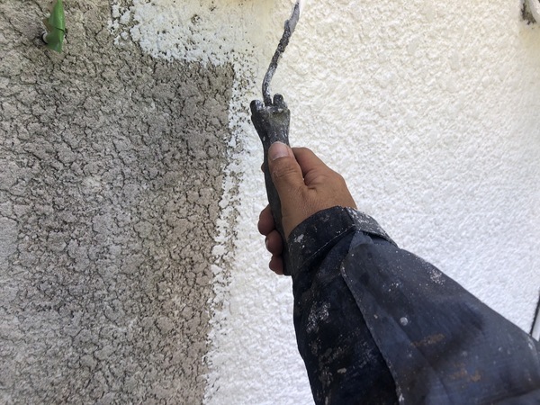 S__99573778_コピー