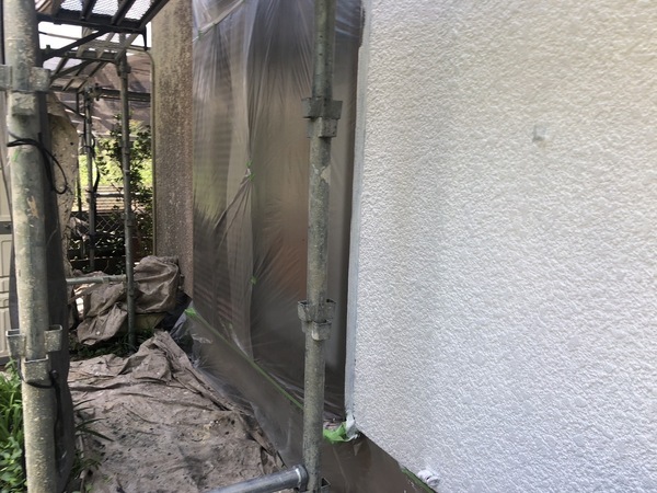 S__99573781_コピー