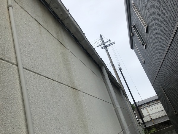 S__99786772_コピー
