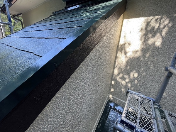 S__38879241_コピー