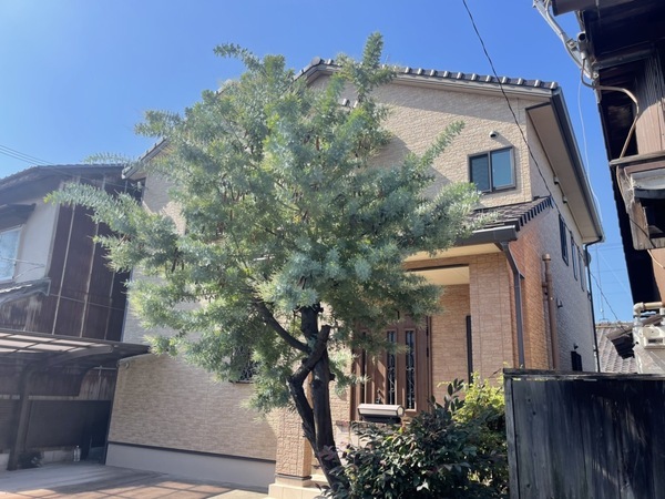 S__147341323_コピー