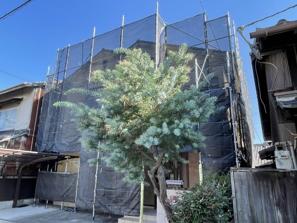 S__147341319_コピー