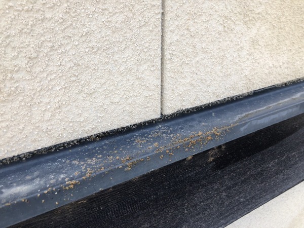 S__101171215_コピー