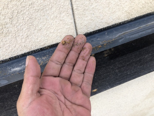 S__101171213_コピー