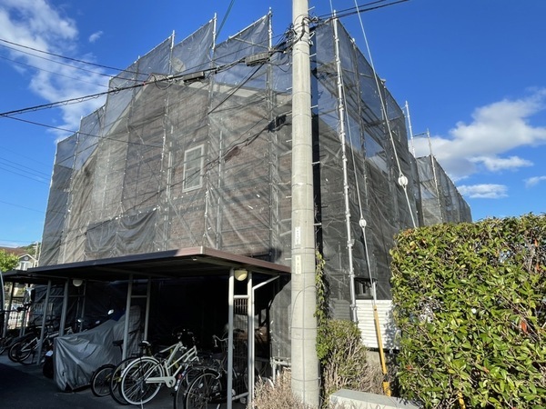 S__150585354_0_コピー